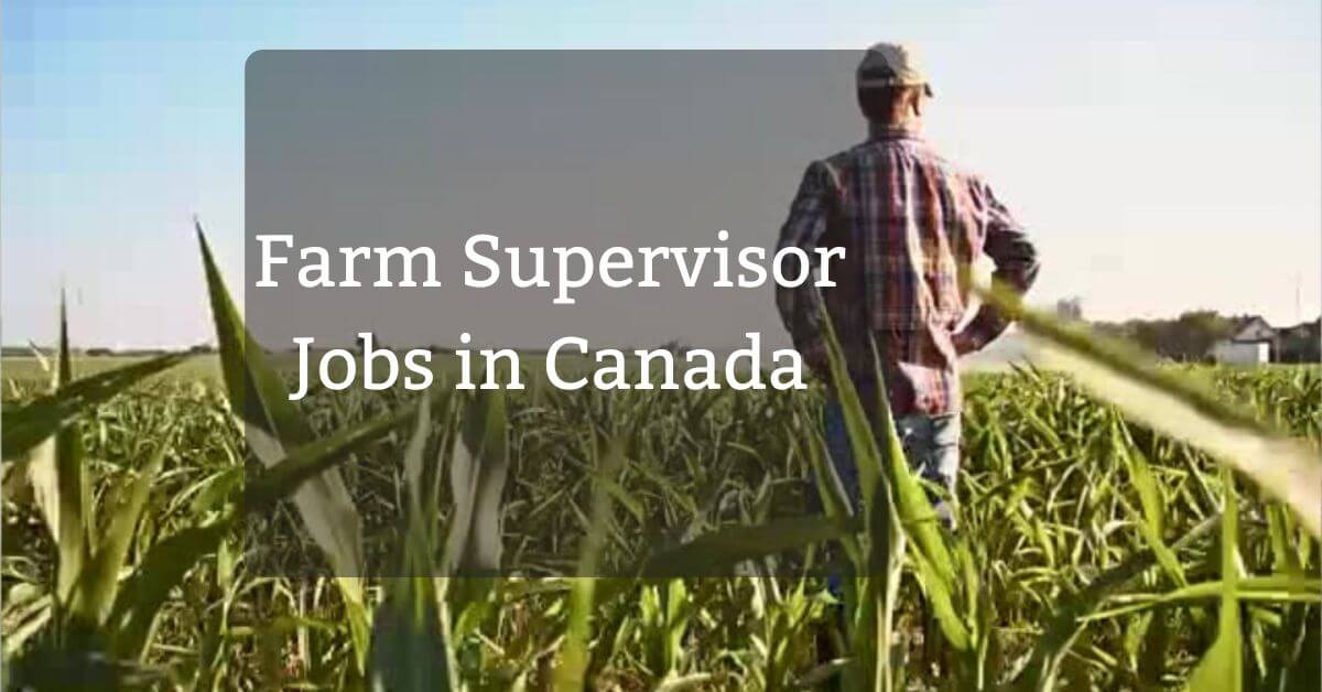Farm Supervisor Jobs in Canada