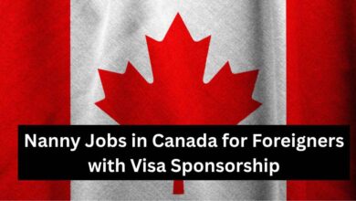 Photo of Nanny Jobs in Canada for Foreigners with Visa Sponsorship