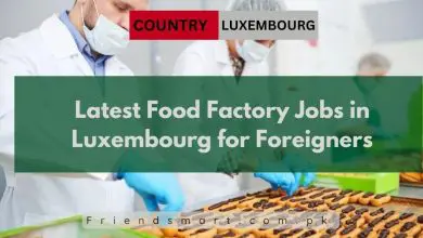 Photo of Latest Food Factory Jobs in Luxembourg for Foreigners 2024