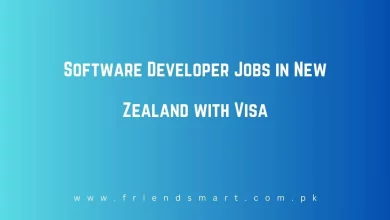 Photo of Software Developer Jobs in New Zealand with Visa