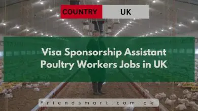 Photo of Visa Sponsorship Assistant Poultry Workers Jobs in UK 2024