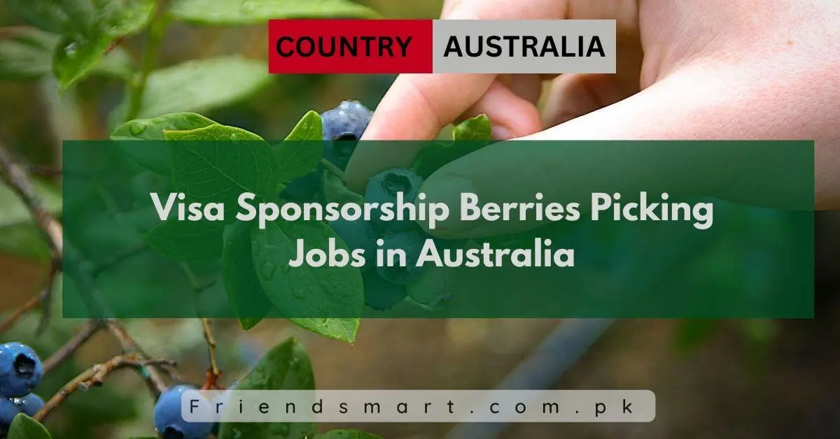 Visa Sponsorship Berries Picking Jobs in Australia