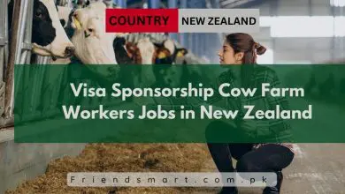 Photo of Visa Sponsorship Cow Farm Workers Jobs in New Zealand 2025