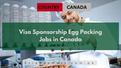 Photo of Visa Sponsorship Egg Packing Jobs in Canada 2024 – Apply Now