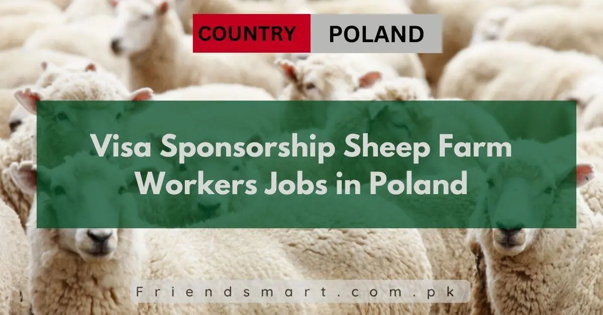 Visa Sponsorship Sheep Farm Workers Jobs in Poland