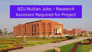 Photo of BZU Multan Jobs – Research Assistant Required for Project