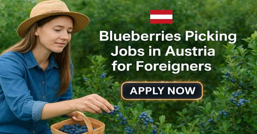 Blueberries Picking Jobs in Austria for Foreigners