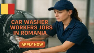 Photo of Car Washer Workers Jobs in Romania 2026