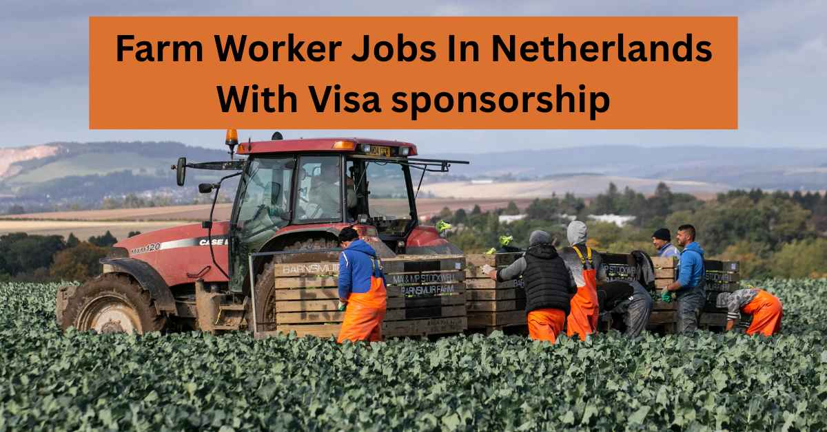 Farm Worker Jobs In Netherlands With Visa sponsorship