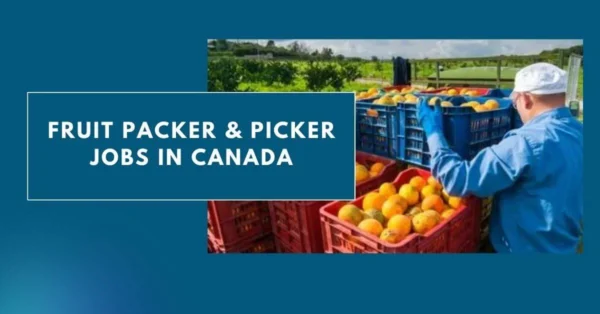 Fruit Picker Jobs in Canada with Visa Sponsorship Apply now