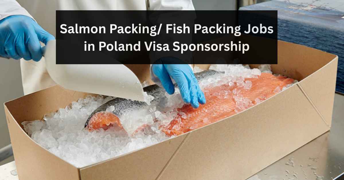 Salmon Packing Fish Packing Jobs in Poland Visa Sponsorship