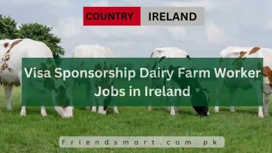 Photo of Visa Sponsorship Dairy Farm Worker Jobs in Ireland 2024