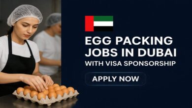 Photo of Egg Packing Jobs In Dubai with Visa Sponsorship 2025