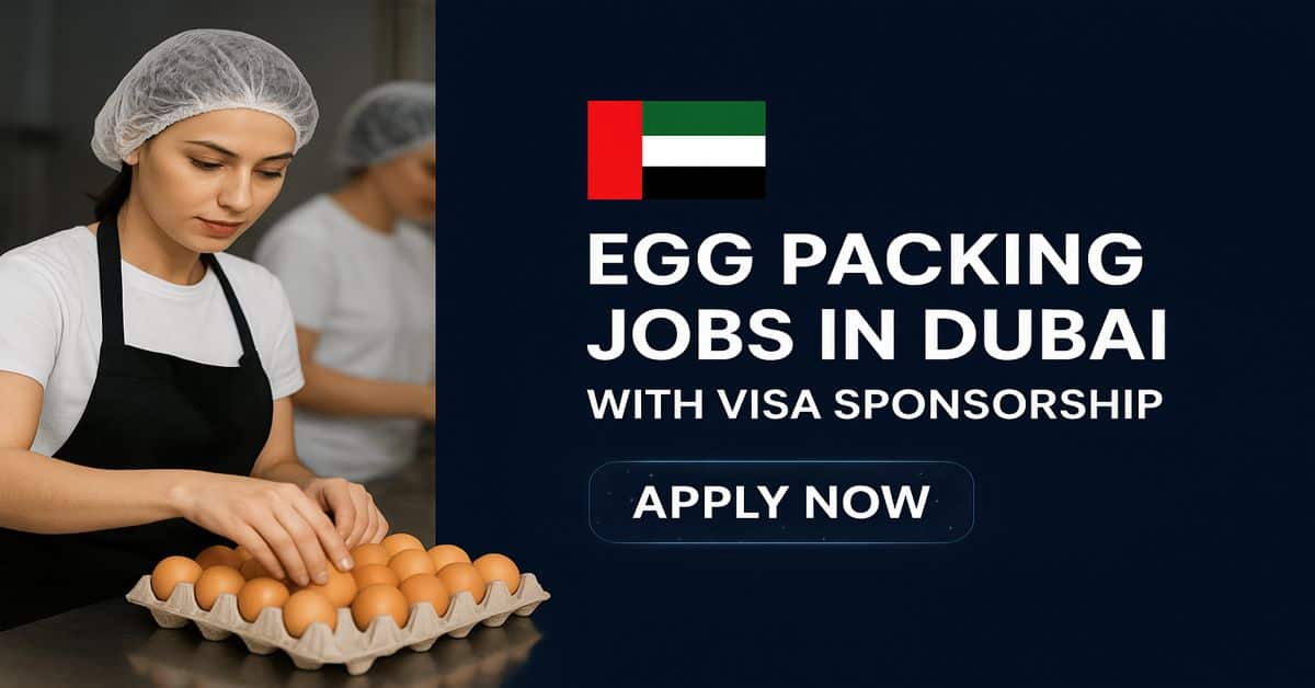 Egg Packing Jobs In Dubai with Visa Sponsorship