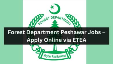 Photo of Forest Department Peshawar Jobs – Apply Online via ETEA
