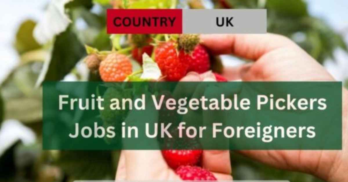 Fruit and Vegetable Pickers Jobs in UK for Foreigners
