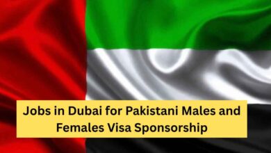 Photo of Jobs in Dubai for Pakistani Males and Females Visa Sponsorship