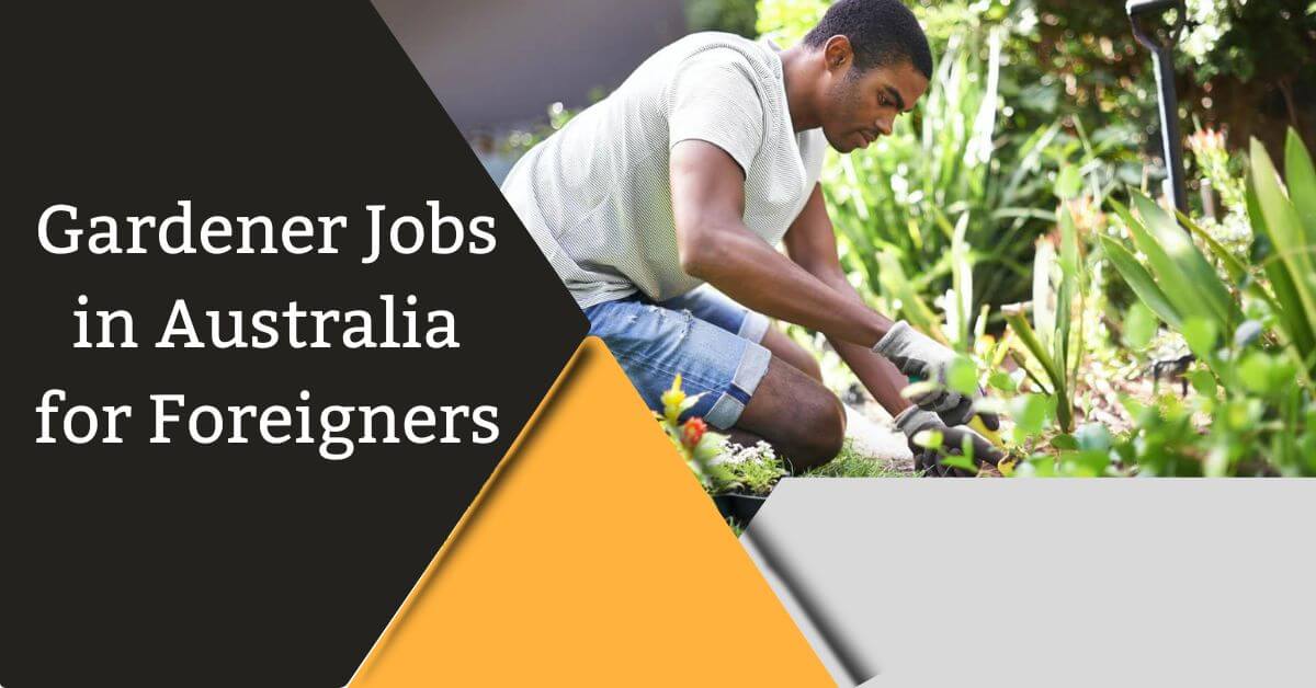 Gardener Jobs in Australia for Foreigners