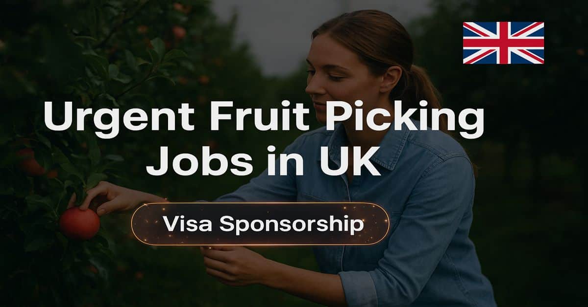 Urgent Fruit Picking Jobs in UK Visa Sponsorship