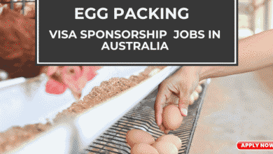 Photo of Visa Sponsorship Egg Packing Jobs in Australia 2025