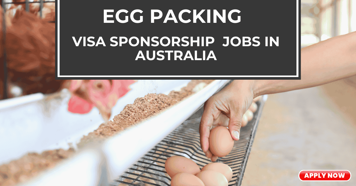 Visa Sponsorship Egg Packing Jobs in Australia