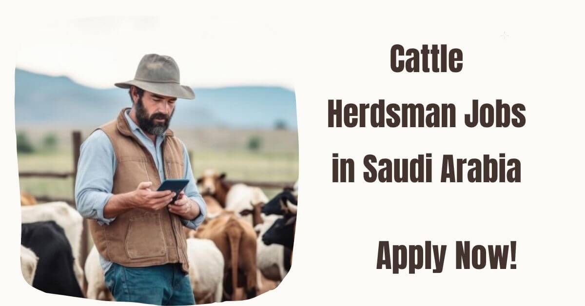 Cattle Herdsman Jobs in Saudi Arabia