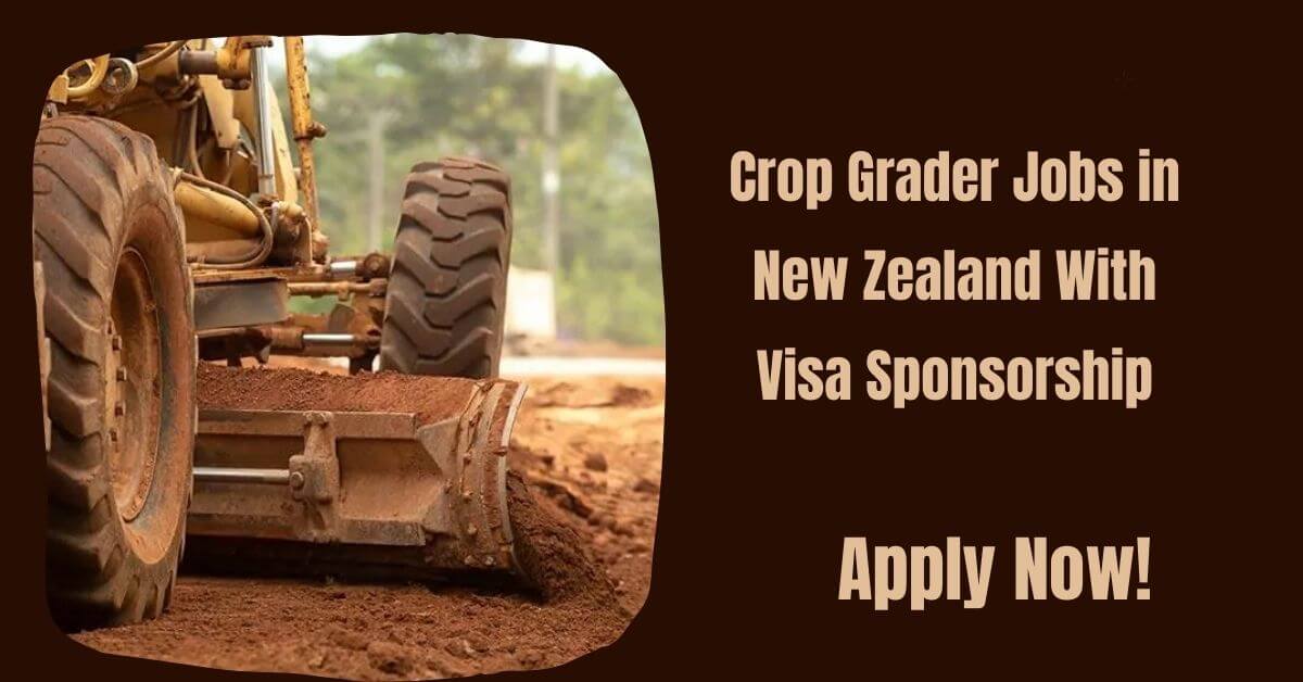 Crop Grader Jobs in New Zealand With Visa Sponsorship