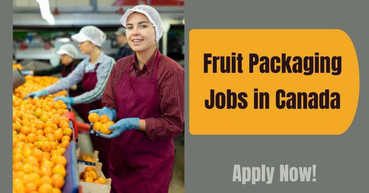 Fruit Packaging Jobs in Canada