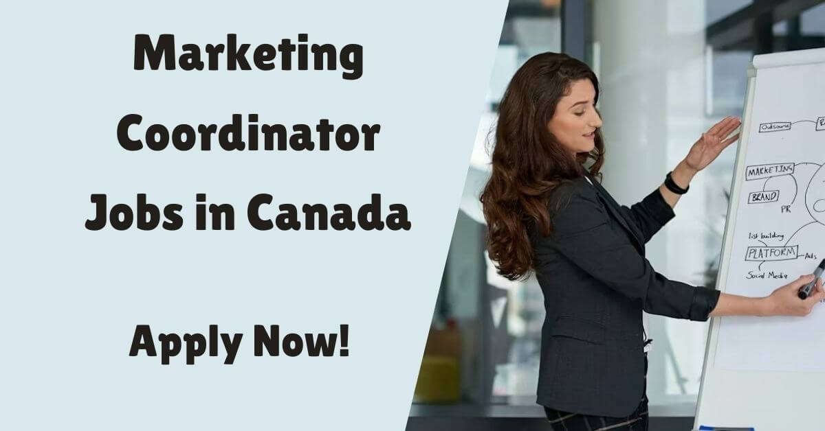 Marketing Coordinator Jobs in Canada