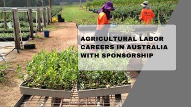 Photo of Agricultural Labor Careers In Australia With Sponsorship 2026