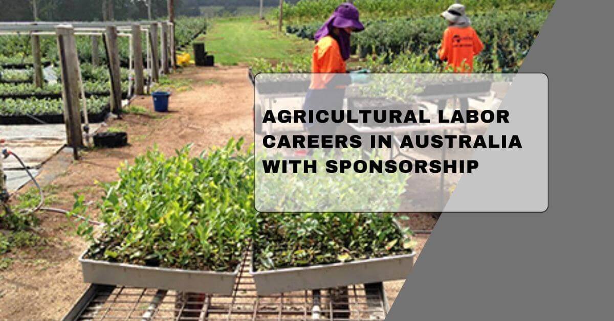 Agricultural Labor Careers In Australia With Sponsorship