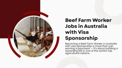 Photo of Beef Farm Worker Jobs in Australia with Visa Sponsorship