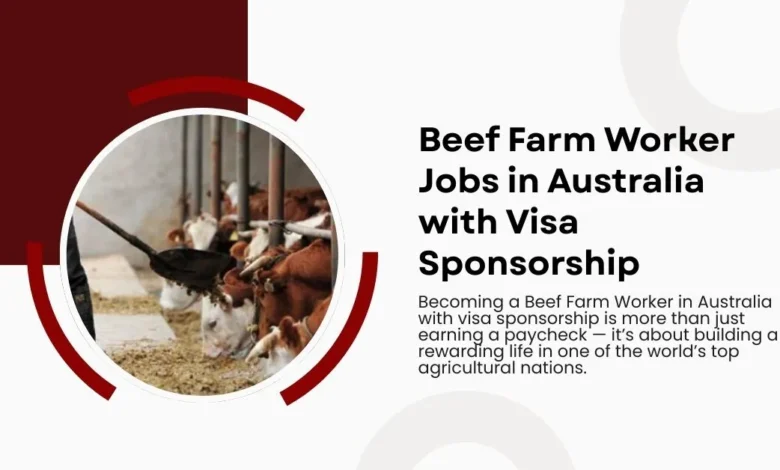 Photo of Beef Farm Worker Jobs in Australia with Visa Sponsorship
