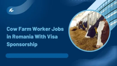 Photo of Cow Farm Worker Jobs in Romania With Visa Sponsorship 2026