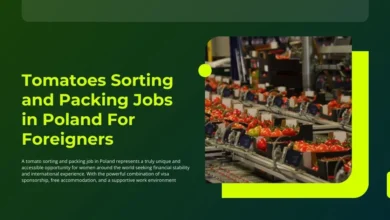 Photo of Tomatoes Sorting and Packing Jobs in Poland For Foreigners
