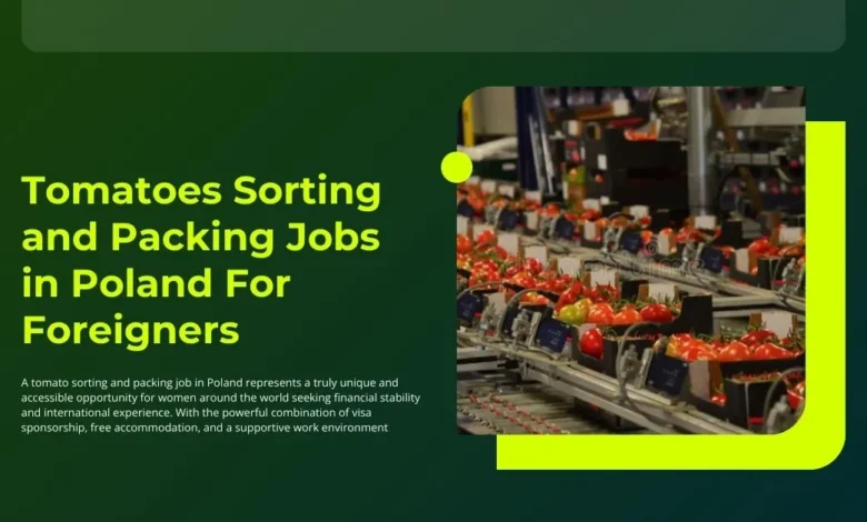 Photo of Tomatoes Sorting and Packing Jobs in Poland For Foreigners