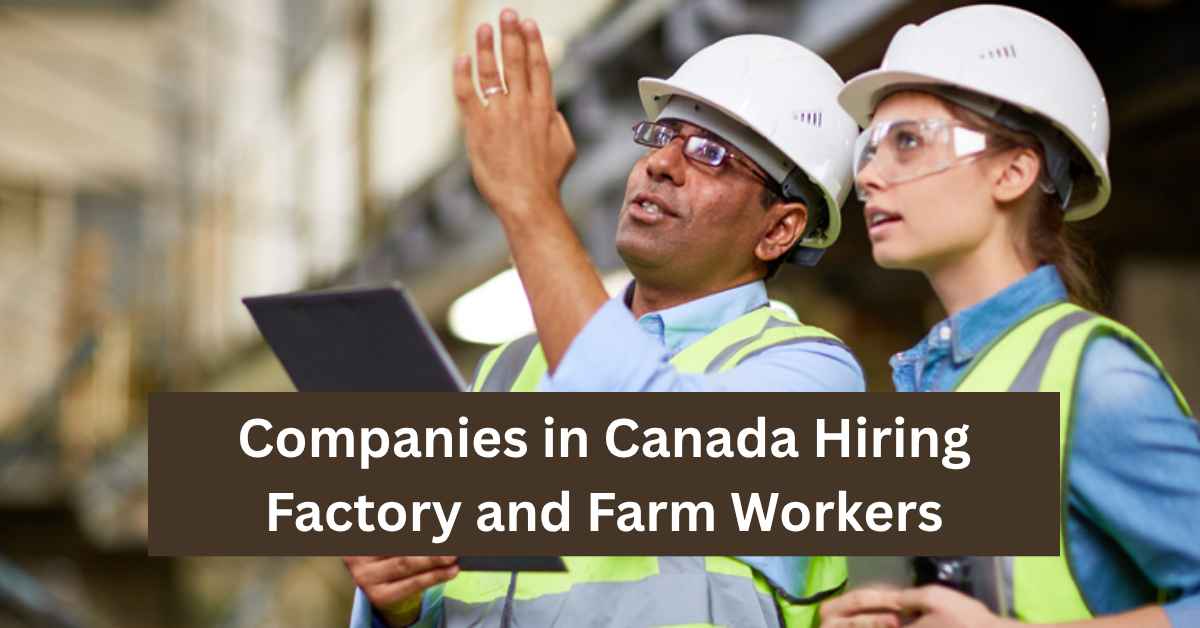 Companies in Canada Hiring Factory and Farm Workers